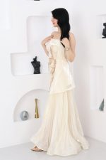 فستان سوارية بتطريز راقي